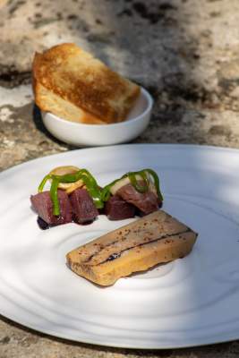 Château de la Pioline à Aix-en-Provence
