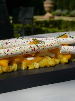 Château de la Pioline à Aix-en-Provence