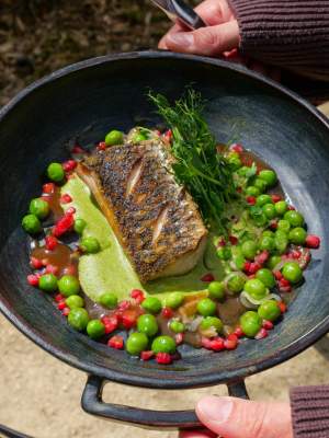 Château de la Pioline à Aix-en-Provence